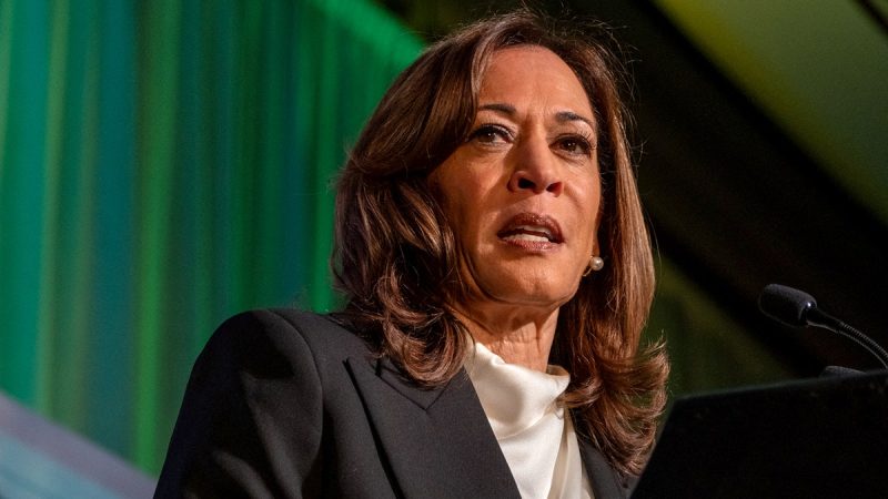 Harris accuses Biden of ‘perceived blank check’ for Netanyahu in Hamas war